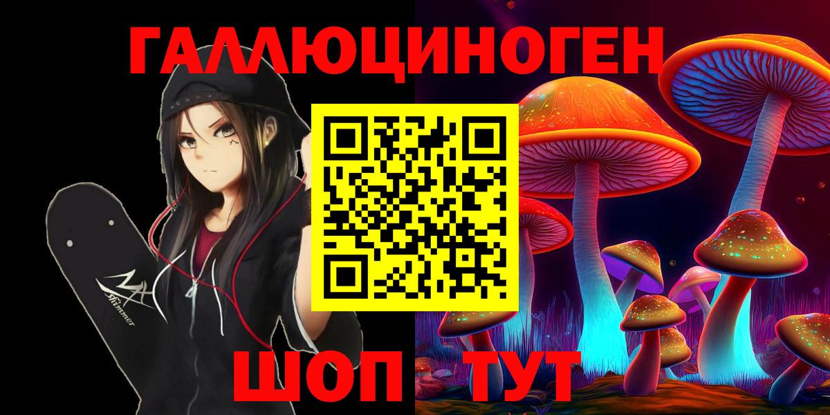 Галлюциногенные грибы Psilocybe  Псилоцибиновые грибы ЛСД  Вход с VPN  Большой Камень 