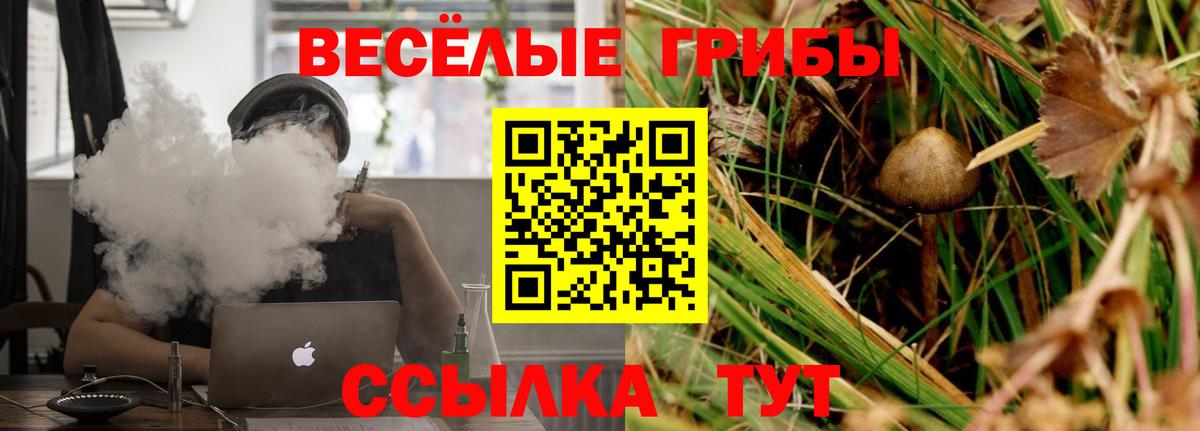 Галлюциногенные грибы прущие грибы Большой Камень